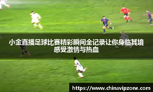 U8国际平台